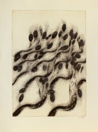 Vovlusos by Zush / Evru at Sylvan Cole Gallery