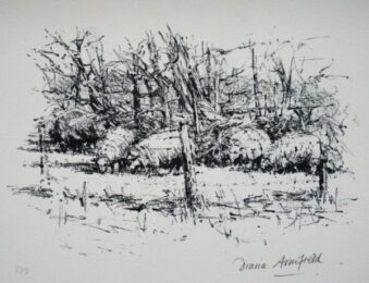 Welsh Sheep Seen From The Window by Diana Armfield at Pomegranate Fine Art
