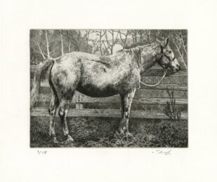 White Horse by Manabu Ikeda at Tandem Press (IFPDA)