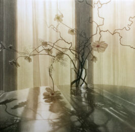 Window Light XIV by Anja Percival at ebo Gallery