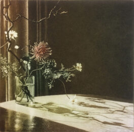 Window Light XVI by Anja Percival at ebo Gallery