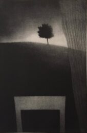 Window w/curtain & Tree by Robert Kipniss at ebo Gallery