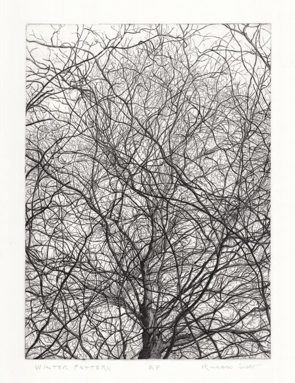 Winter Pattern by Richard Sloat