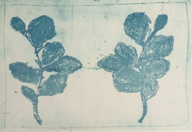 Witch Hazel 2017 by Nancy Azara at VanDeb Editions