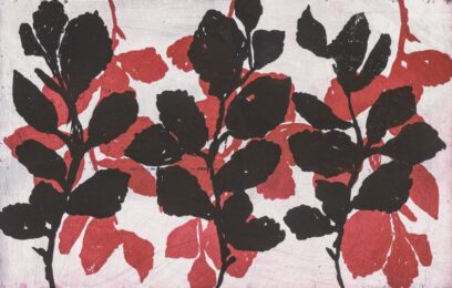 Witch Hazel by Nancy Azara at VanDeb Editions