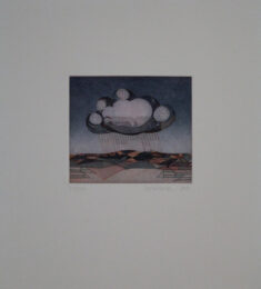 Wolke by Reimund Franke at Sylvan Cole Gallery