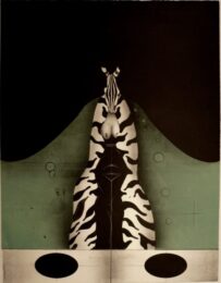 Zebra by Paul Wunderlich at Editions Graphiques Ltd