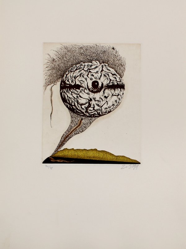 Mabrain by Zush / Evru