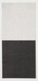 Clearing 184-13-p (vertical) by David Shapiro at ebo Gallery