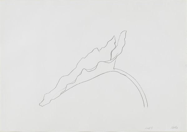 Leaf Ix by Ellsworth Kelly
