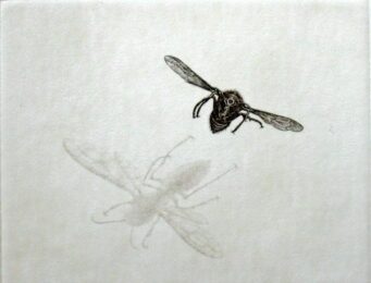 Hornet by Takuji Kubo at ebo Gallery