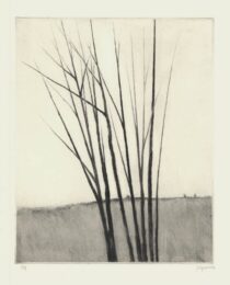 Meadow W/six Trees by Robert Kipniss at ebo Gallery