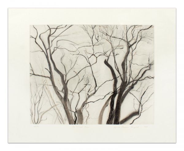 The Locust Trees, State II by Sylvia Plimack Mangold