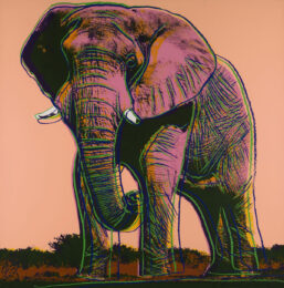 African Elephant (fs Ii.293) by Andy Warhol at Revolver Gallery