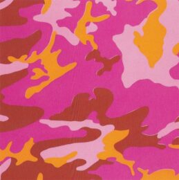 Camouflage (FS II.408) by Andy Warhol at Revolver Gallery