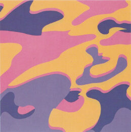 Camouflage Fs Ii.410 by Andy Warhol at Revolver Gallery