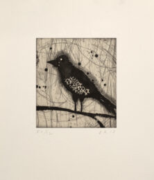 Little Harried Bird [e.v. 1/12] by Dan Rizzie at Tandem Press (IFPDA)