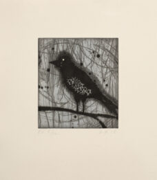 Little Harried Bird [e.v. 5/12] by Dan Rizzie at Tandem Press (IFPDA)