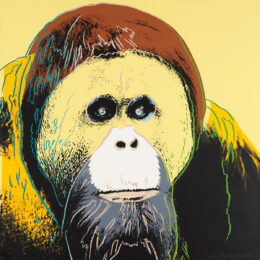 Orangutan (FS II.299) by Andy Warhol at Revolver Gallery
