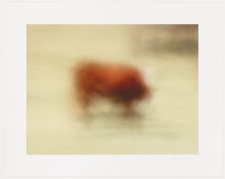 Dynamism Of A Cow by Jim Campbell at Graphicstudio