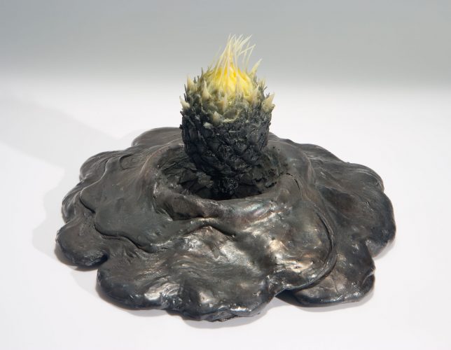 Cycas Revoluta Bulbil by Keith Edmier at
