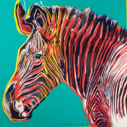 Grevys Zebra (FS II.300) by Andy Warhol at Revolver Gallery