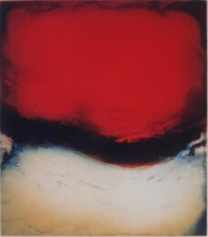 La Sombra Del Corazon by Christian Bozon at ebo Gallery