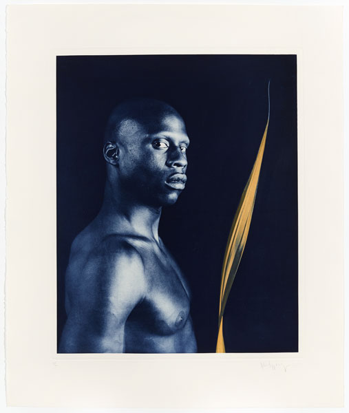 Untitled #4 From The Ken Moody Portfolio by Robert Mapplethorpe
