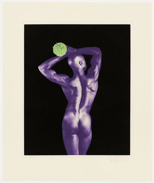 Untitled #5 From The Ken Moody Portfolio by Robert Mapplethorpe