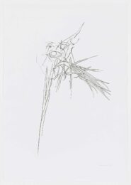 Paradiso by Theo Wujcik at Graphicstudio