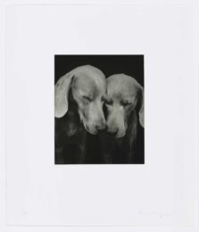 Reflectional by William Wegman at Graphicstudio
