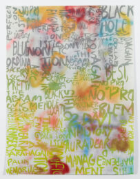 Research Park Project: Pp by Rochelle Feinstein at Graphicstudio