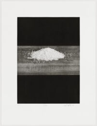 Rice by Liset Castillo at Graphicstudio