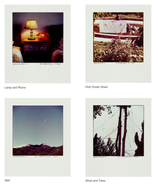 Studies For Chinese Summerhall (small) by Robert Rauschenberg