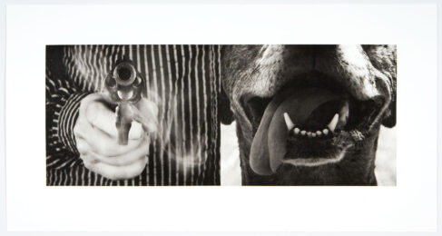The Gun And The Dog by Burt Barr at Graphicstudio