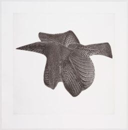 Three Views Of An Object #2 by Alyson Shotz at Graphicstudio