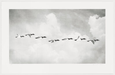 V-formation by Burt Barr at Graphicstudio