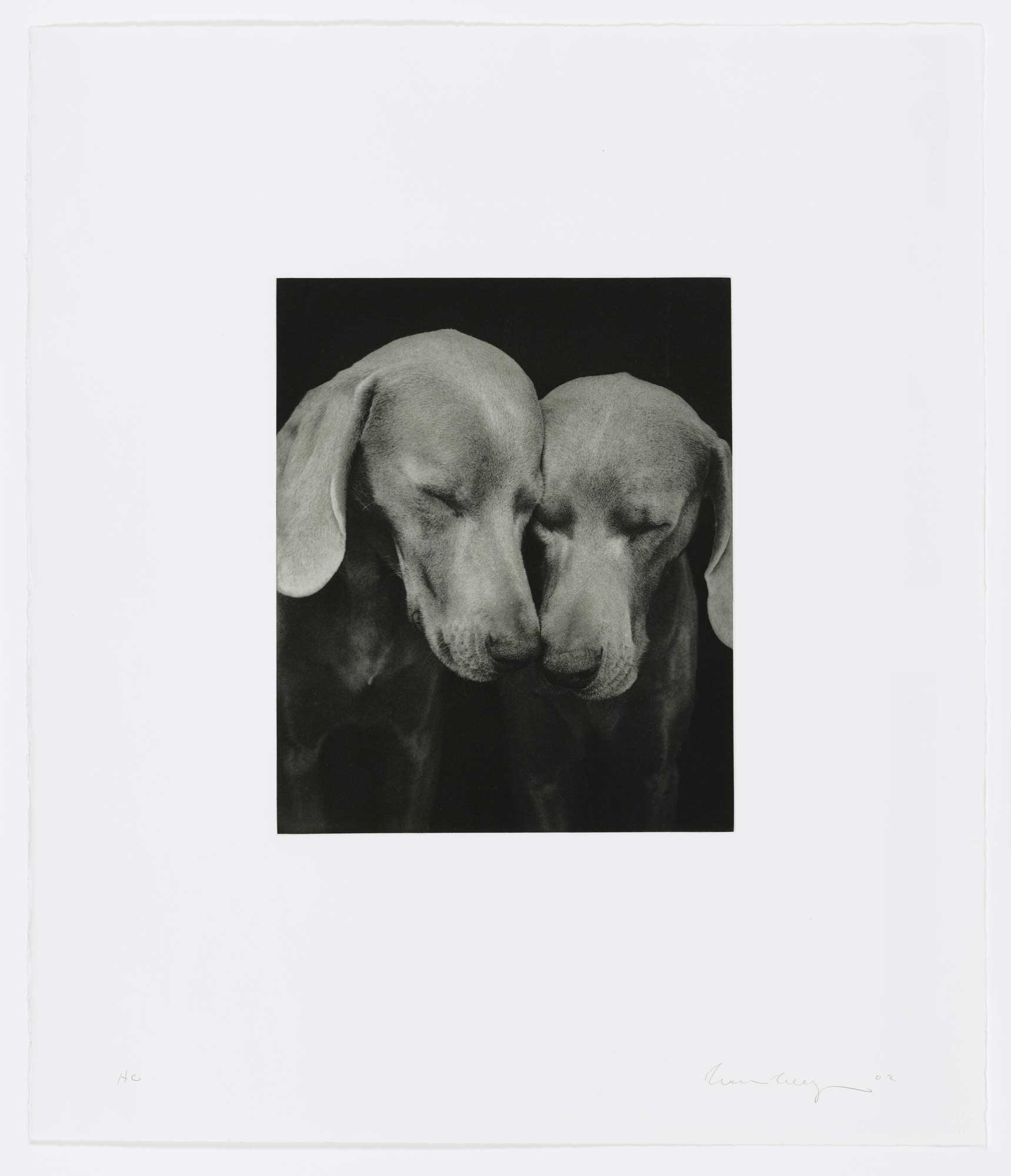 Reflectional by William Wegman