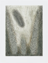 When Wild Things Grow by Mette Petri at Graphicstudio