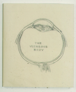 The Vitreous Body by Kiki Smith