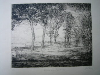 Bäume An Der Föhrer Marsch by Johann Cissarz at Sylvan Cole Gallery