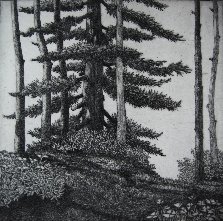 Dyer Bay by Eric Goldberg