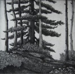 Dyer Bay by Eric Goldberg at ebo Gallery