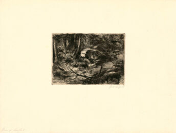 Im Wald by Gretli Fuchs at Sylvan Cole Gallery