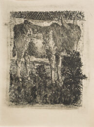 L’ane (the Donkey) by Pablo Picasso at John Szoke Gallery