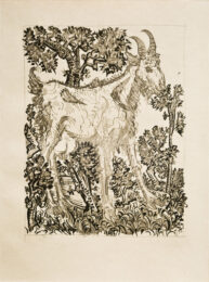 La Chèvre  (the Goat) Bloch 335 by Pablo Picasso at John Szoke Gallery