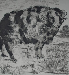 Le Belier (the Ram) by Pablo Picasso at John Szoke Gallery