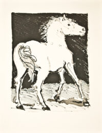 Le Chval (le Cheval) (the Horse) by Pablo Picasso at John Szoke Gallery
