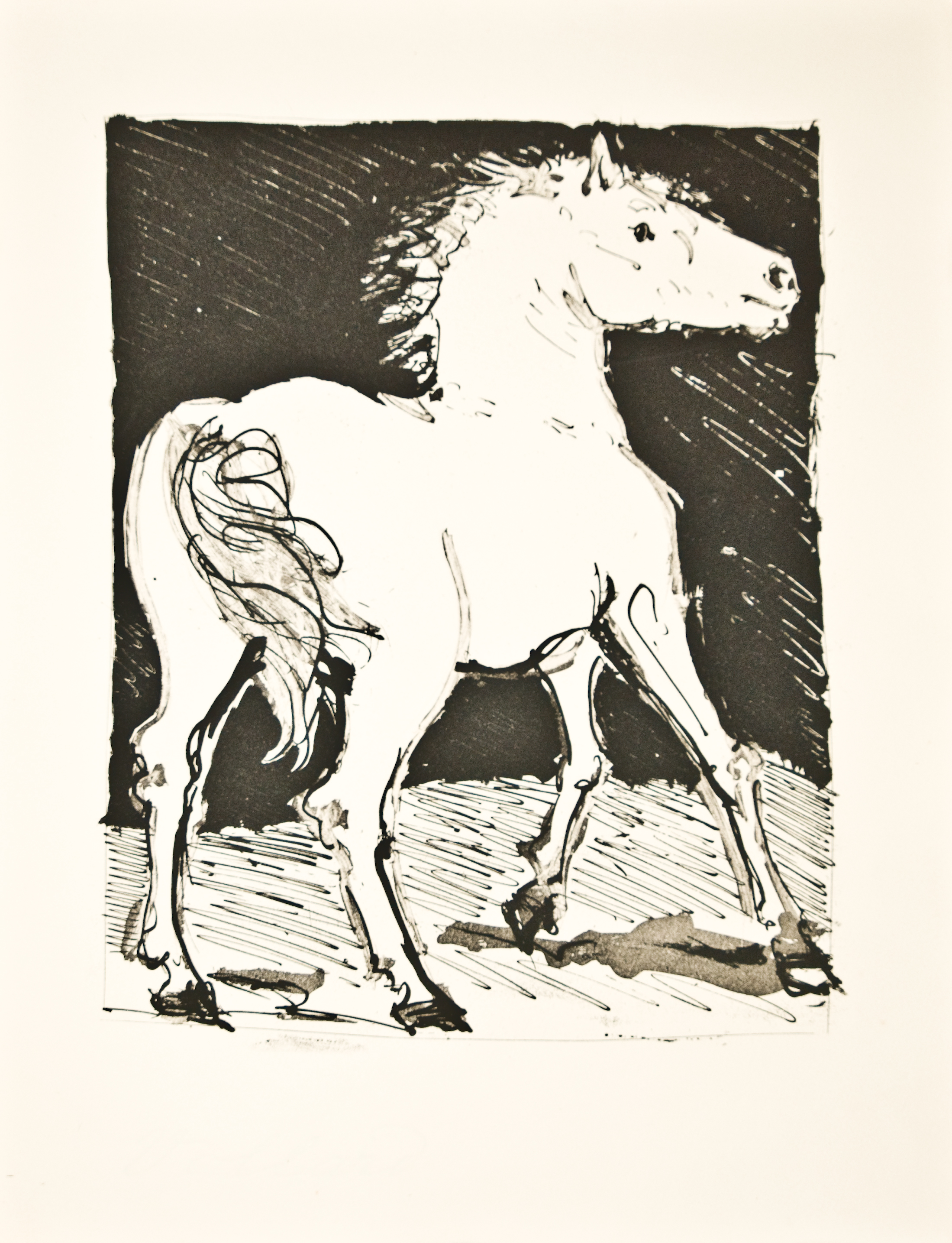 Le Chval (le Cheval) (the Horse) by Pablo Picasso