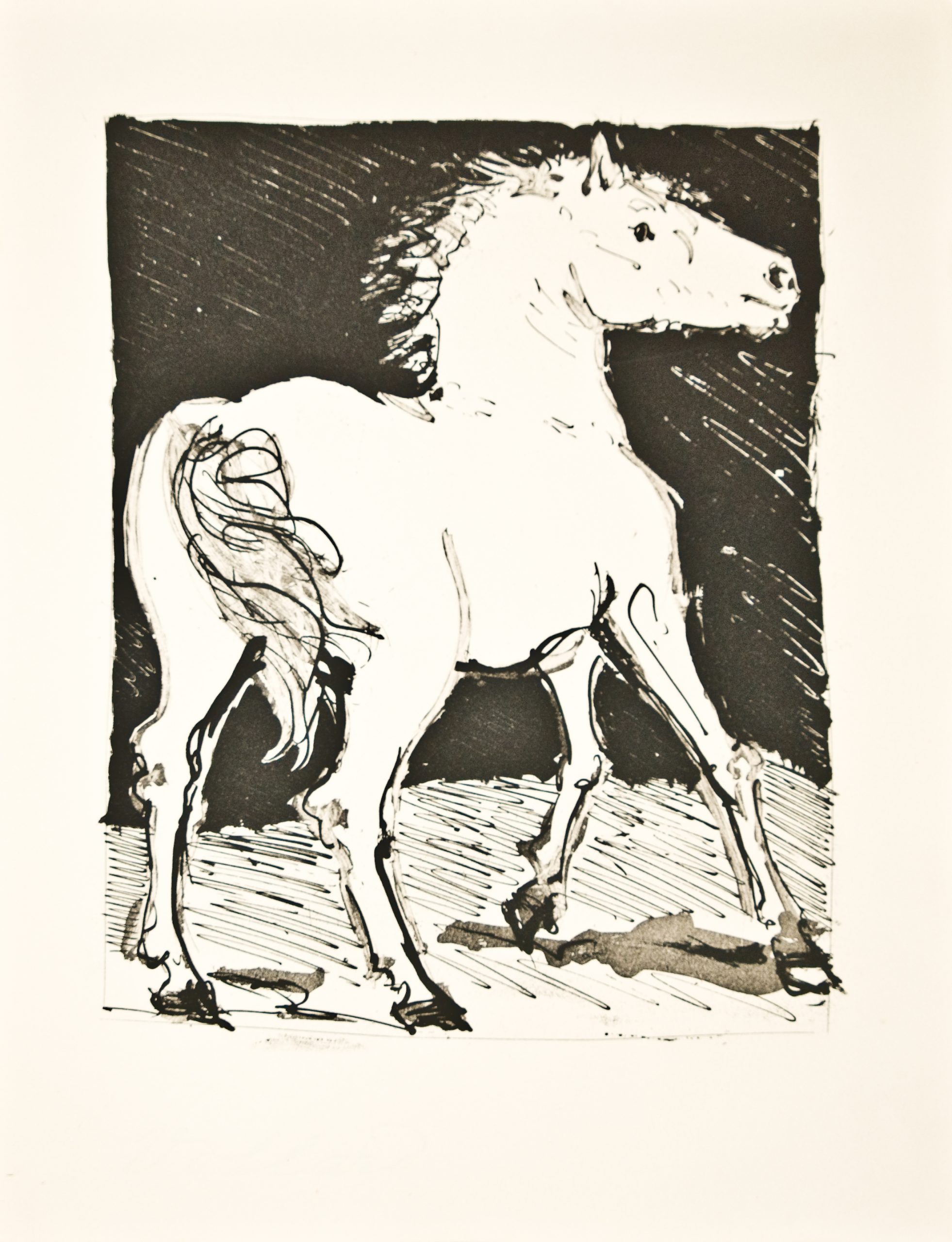 Le Chval (le Cheval) (the Horse) by Pablo Picasso